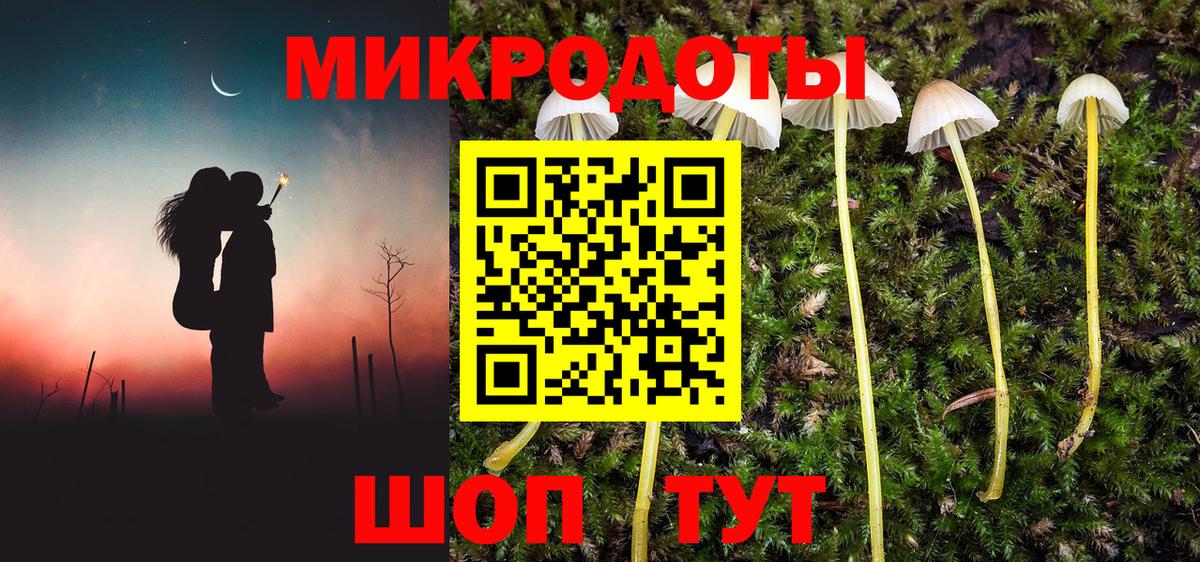 Заводоуковск  Псилоцибиновые грибы прущие грибы  купить   Вход с VPN 